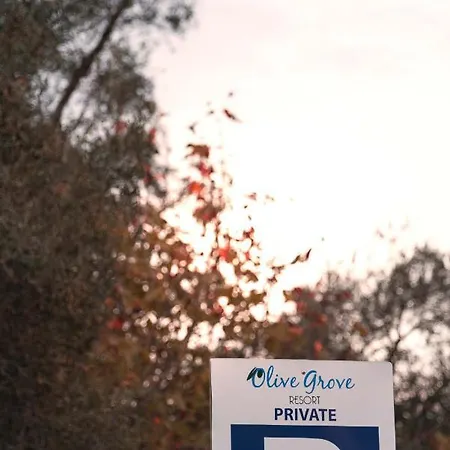 Appart hôtel Olive Grove Annex